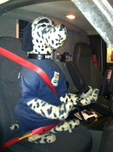 photo by Christopher Lucas