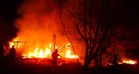 photo by Nevin Steffy