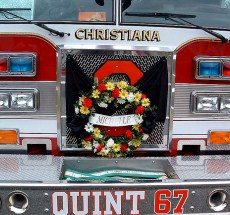 photo by Nevin Steffy