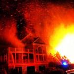 photo by Charlotte Parramore