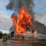 photo by Michele Ehart